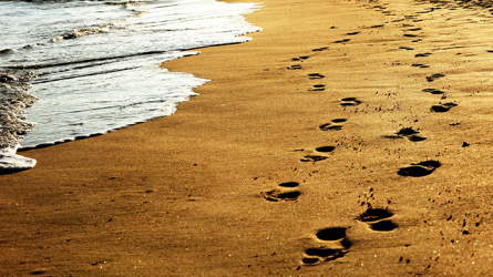 Footsteps in the sand along a beach